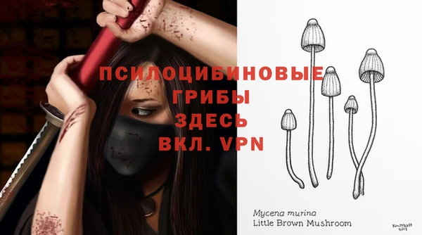jwh Вязьма