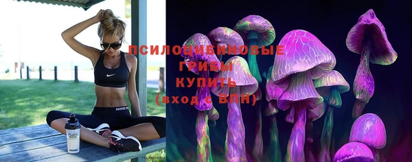 хмурый Вязники
